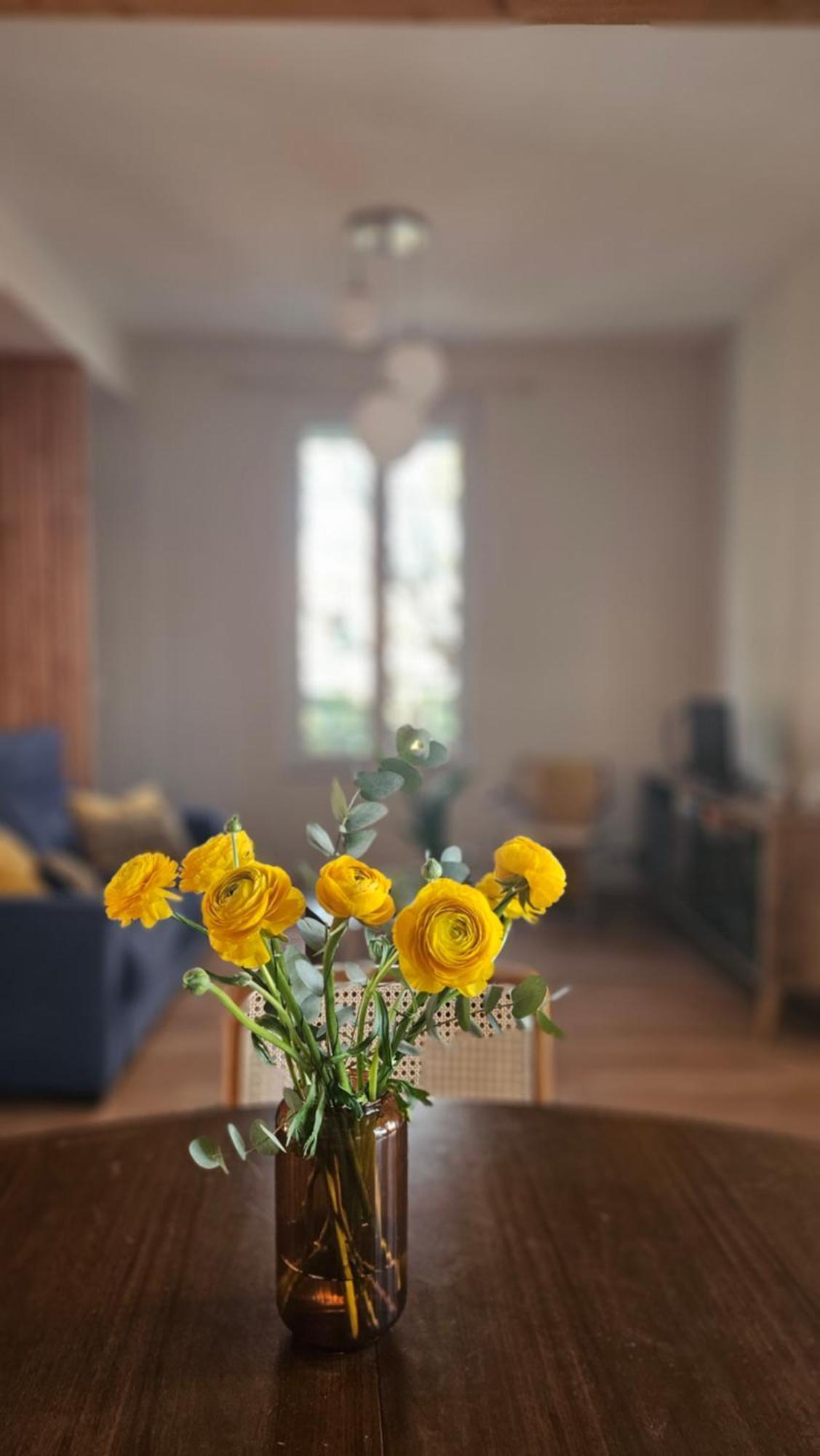 La Maison De Jeanne Narbonne Oda fotoğraf